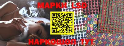МДПВ Бердск