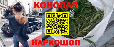 МДПВ Бердск