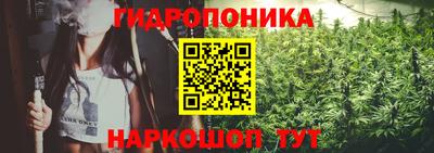 МДПВ Бердск