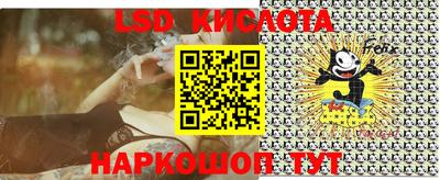 МДПВ Бердск